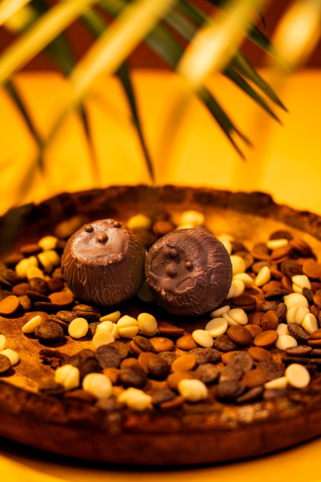REELO food photography